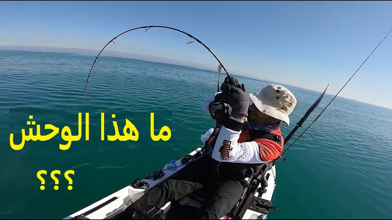 فيديو (29) صيد سمكة سكن عملاقة بالكاياك cobia fishing, Catching a Giant Cobia by Fishing Kayak