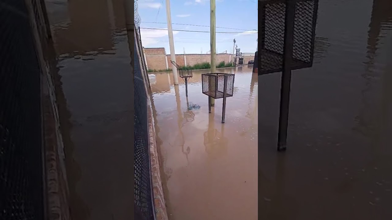 La Voz TV: Valentina Norte Rural - Neuquén
