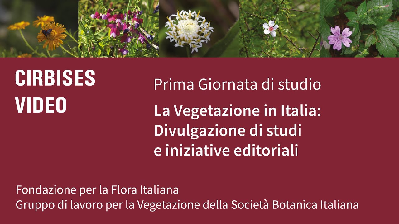 I GIORNATA DI STUDIO -&nbsp;LA VEGETAZIONE IN ITALIA - sessione mattina