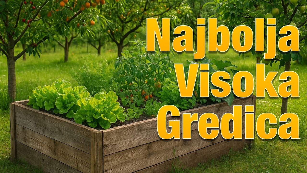 Najbolja Visoka Gredica - Ključ 13