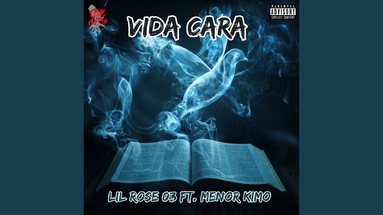 Vida Cara