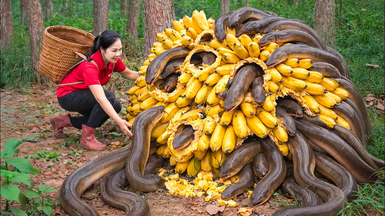 Harvesting Giant Banana-eating Eel & Go to Market Sell | Garden Harvest to Deep Frying | Trieu Khang