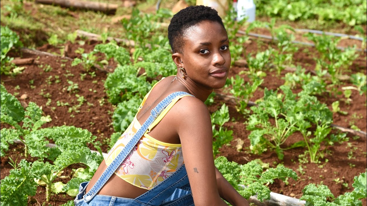 Life in Grenada: Ital farm (Part 1) Community outreach
