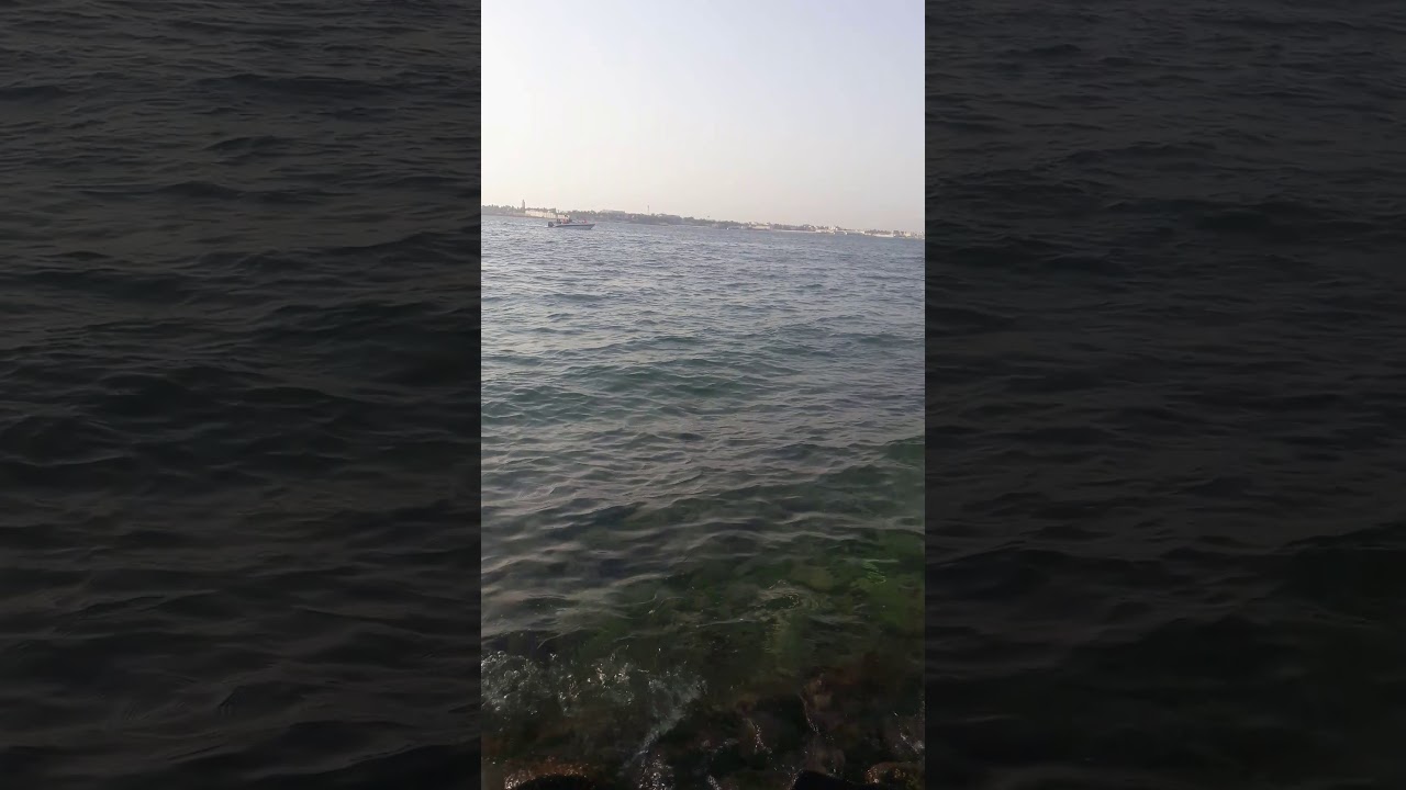 قصيده وقلبي اللي كل يفجرها احمد العازمي من بحر جده😎😘