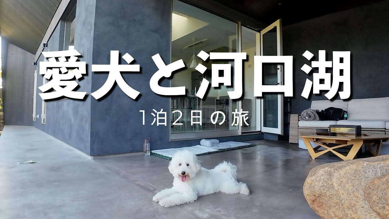 【犬連れ旅行】河口湖1泊2日の旅に行ってきた