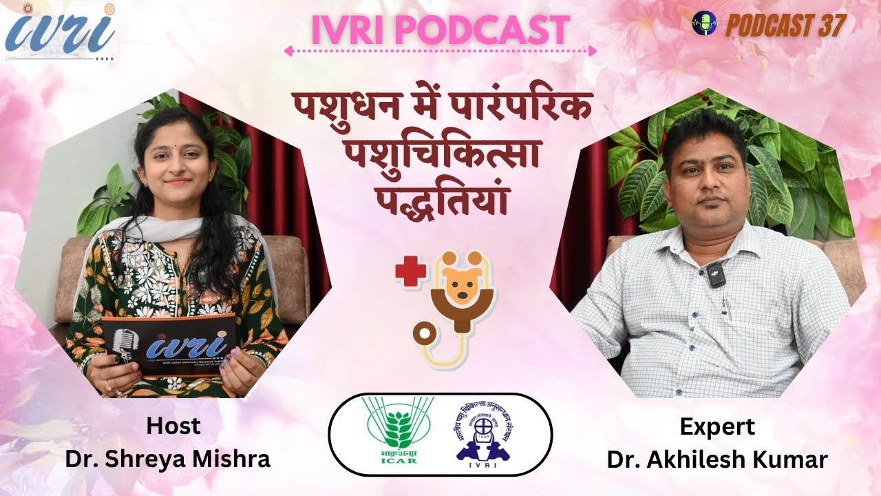 Traditional Veterinary Practices in Livestock || Podcast 37