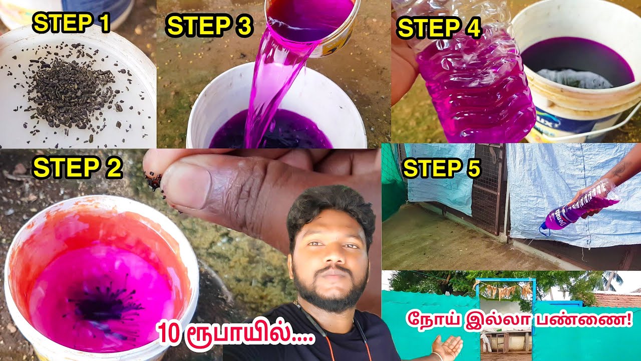 வாரம் ஒருமுறை இவ்வாறு சுத்தம் செய்யுங்க-நோய் பற்றிய பயம் துளியும் வேண்டாம்!! Bio security Measure