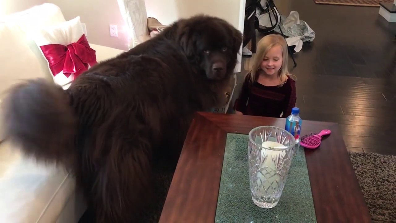 Happy Holidays TAKE 2!  Higher resolution