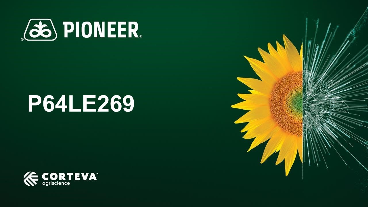 P64LE269