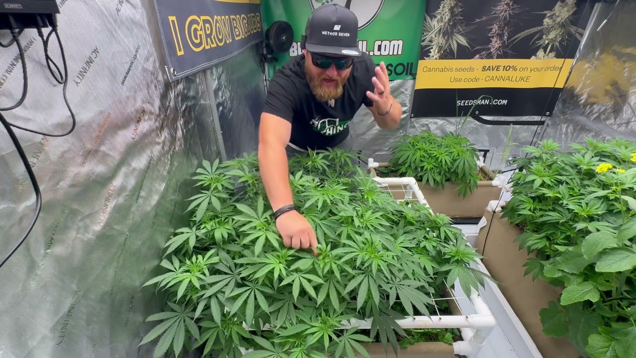 Training for Flower