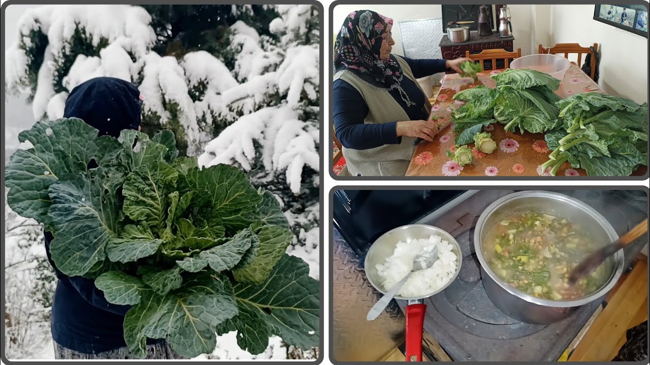 🥬❄️ Kar Soğuğu Yemiş Karalahana! Bahçeden Mutfağa Nefis Gulyası Tarifi
