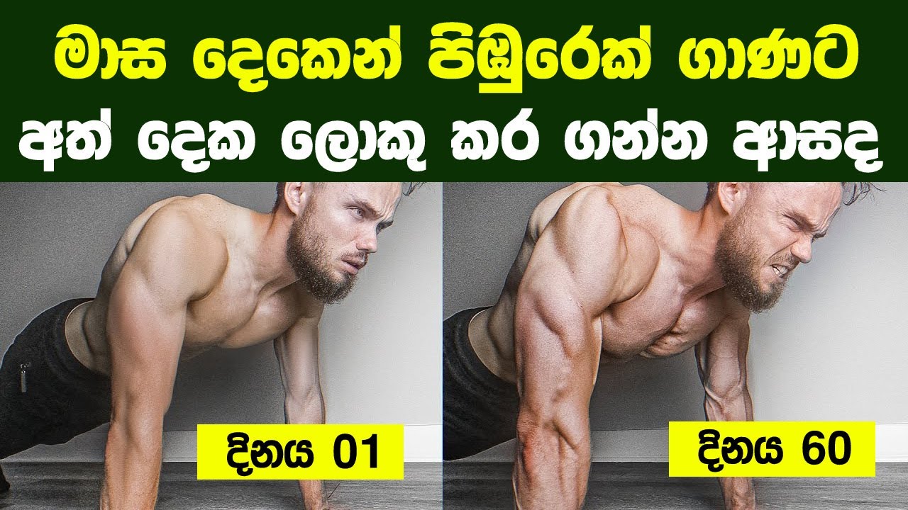 මාස දෙකෙන් පිඹුරෙක් ගාණට අත් දෙක ලොකු කරගන්න හැටි | Bigger Arms in 8 Weeks