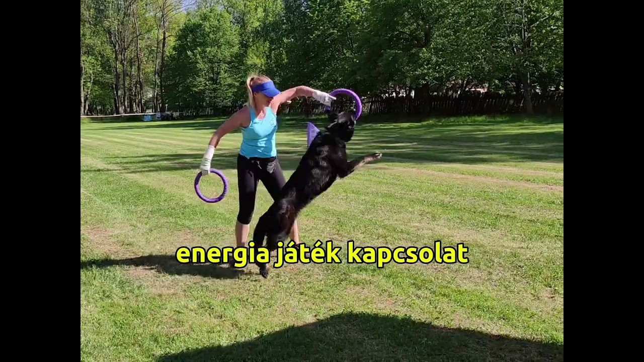 FIDELA Gazdi- és Kutyaképző Központ