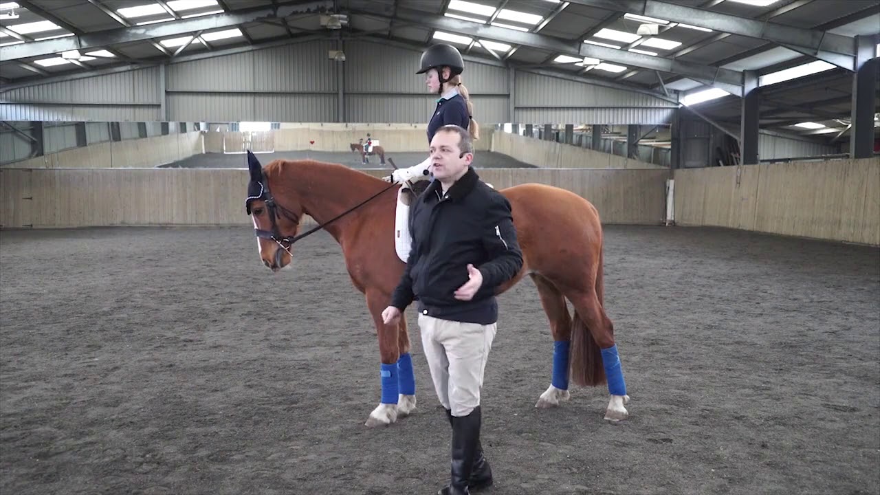 Riding Transitions - Dressage Training