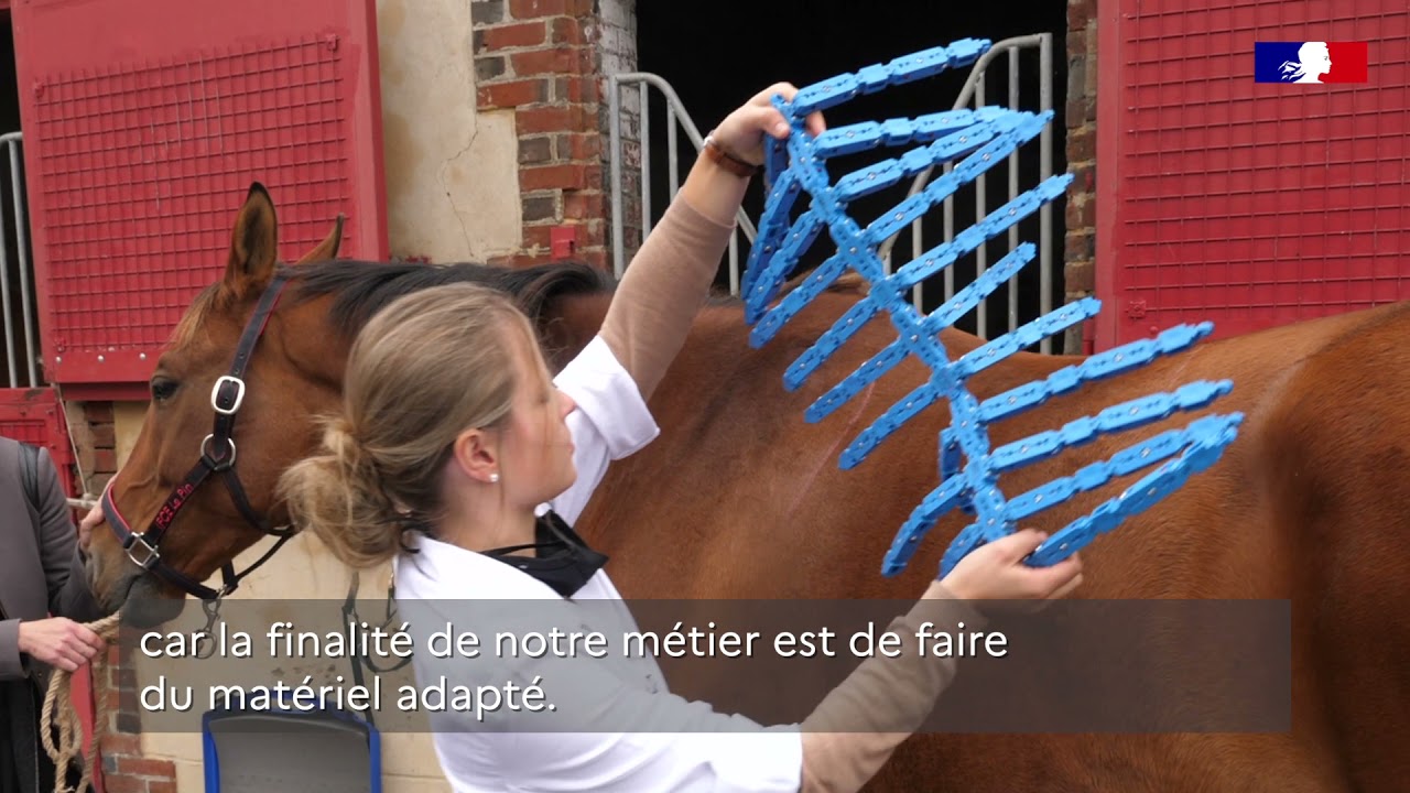 L'innovation pédagogique au sein des formations