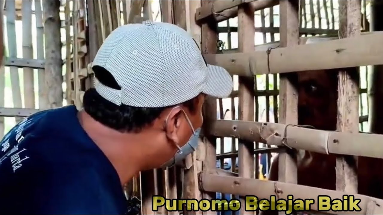 KAKEK DIKURUN9 DALAM SANGKAR BAMBU..?MASIH BELUM DAPAT IJIN DIBAWA PAK PURNOMO,NANGIS PENGEN IKUT.!?