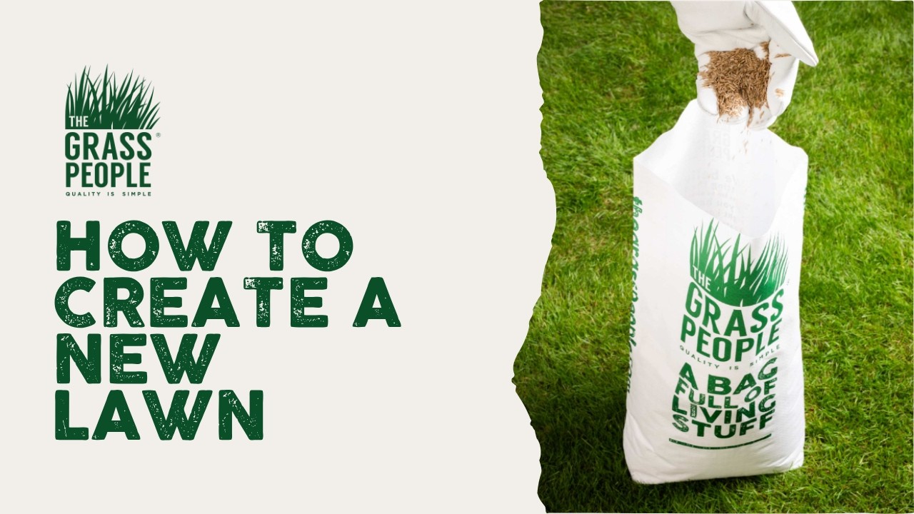 How to Create a New Lawn - Great Lawns Made Simple
