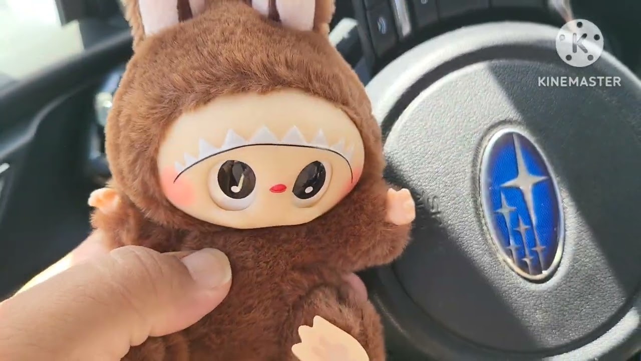 Secret LaBuBu Unboxing - Very Hard to Find - Rare LuBuBu