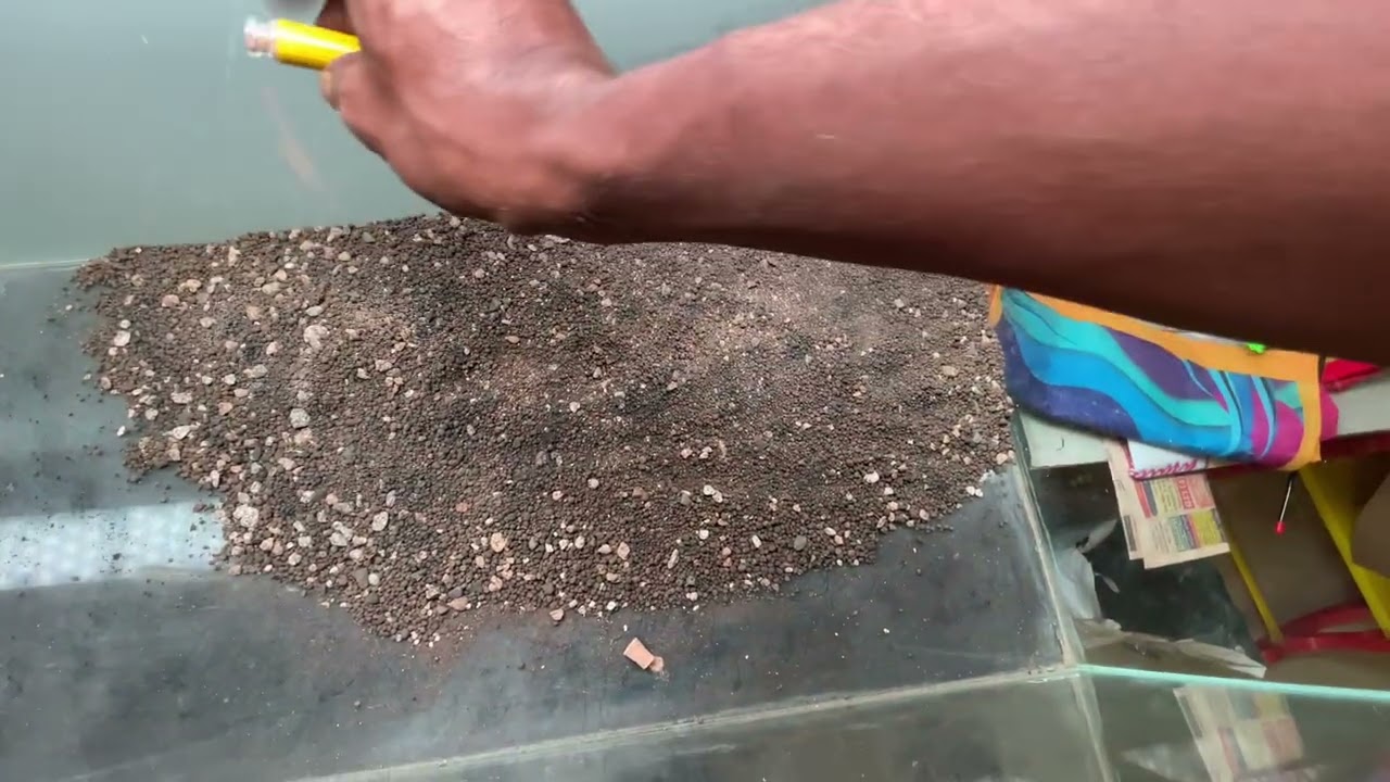 Ada Super Pour, Bacter 100
