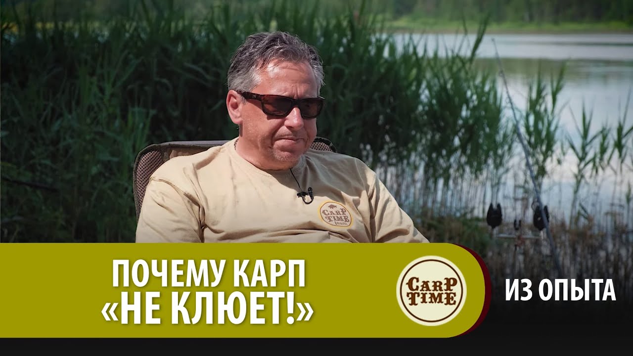 ПОЧЕМУ КАРП 