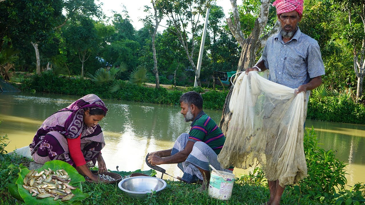 CAST NET FISHING! Rainy Season Deshi Small Fish Hunting & Cooking Panchmishali Tiny Fish Vuna Recipe