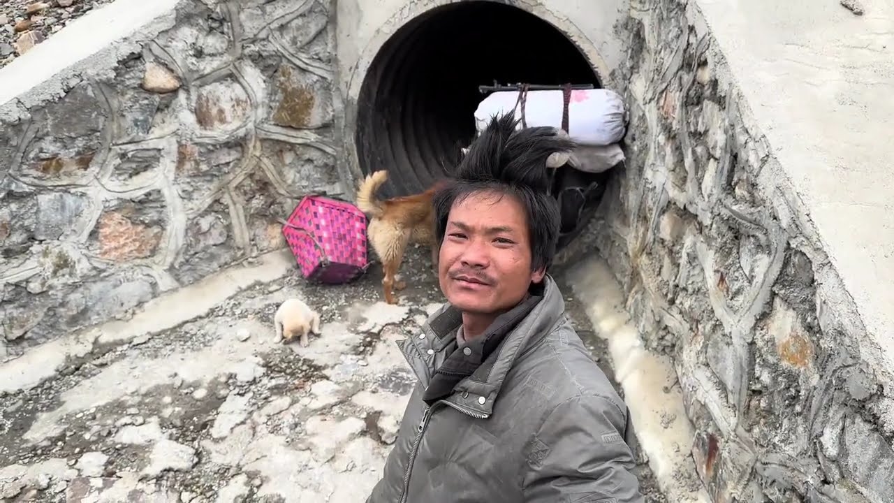 深圳骑行新疆一人一车两狗，重装骑行 长上坡 遇上暴风雪走不动了找了个太空舱露营，希望不要有熊和狼， 加油小伙子#现场实拍 #户外露营 #真实户外 #骑行 #身体和灵魂总有一个在路上