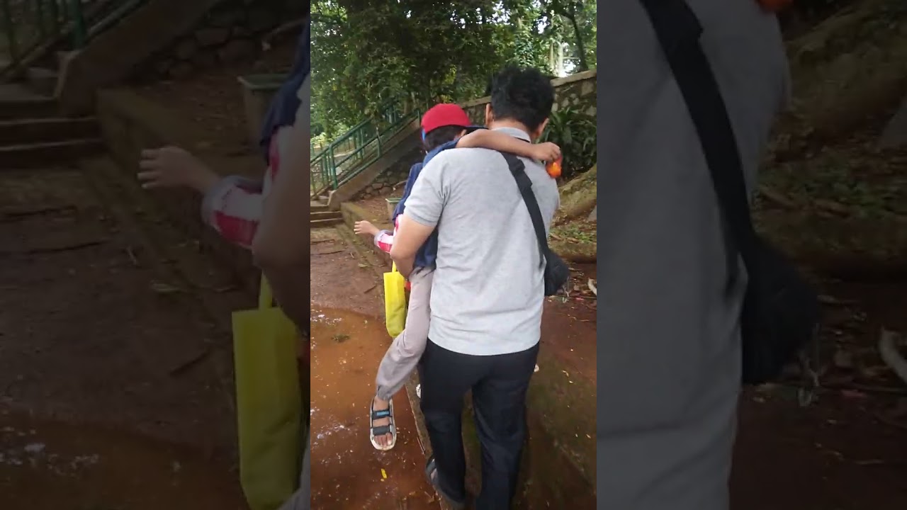 Lihat buaya kebun binatang ragunan Jakarta 23122025 #fyp #rekomendasiwisataanak #fypviral #trending