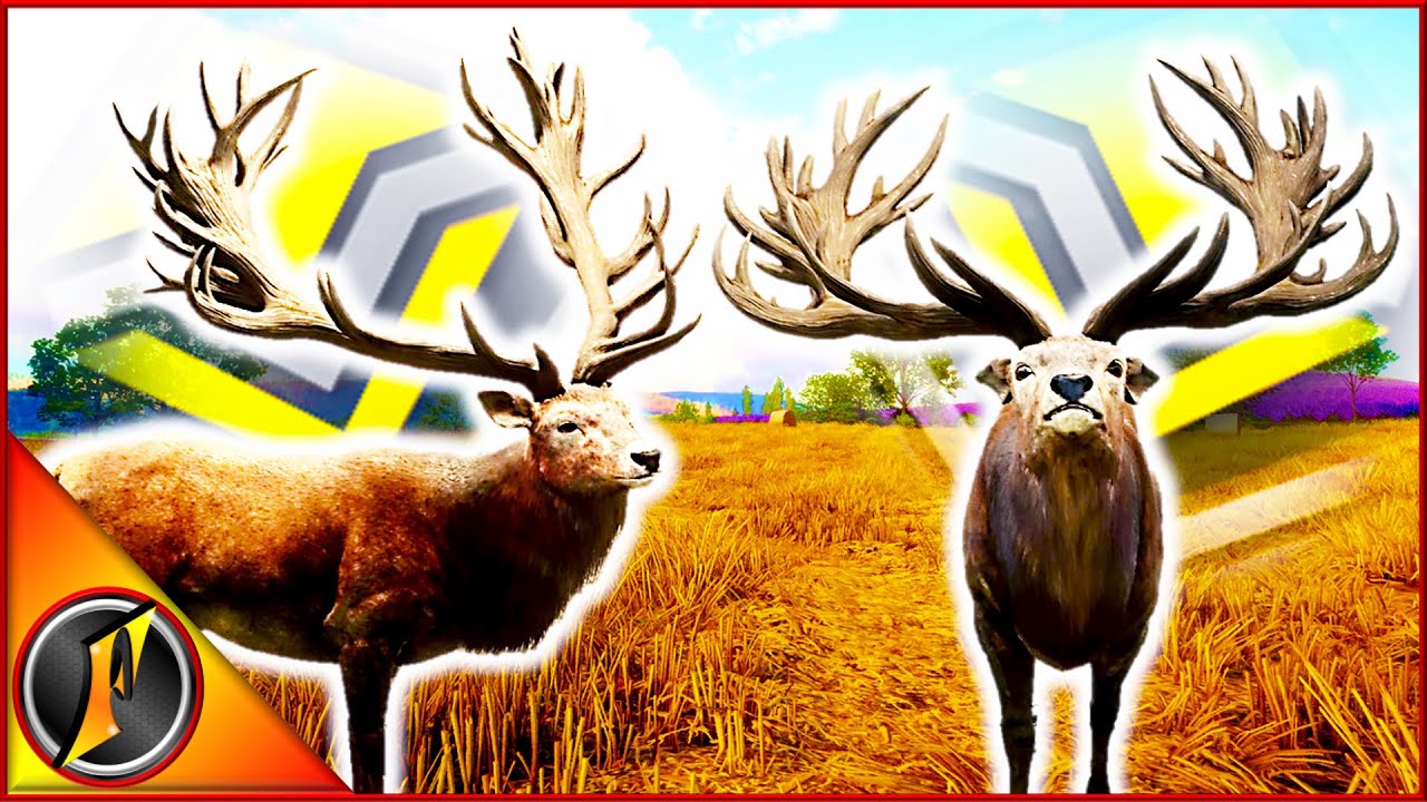 Adding Diamonds to Our Count on the Red Deer Grind!