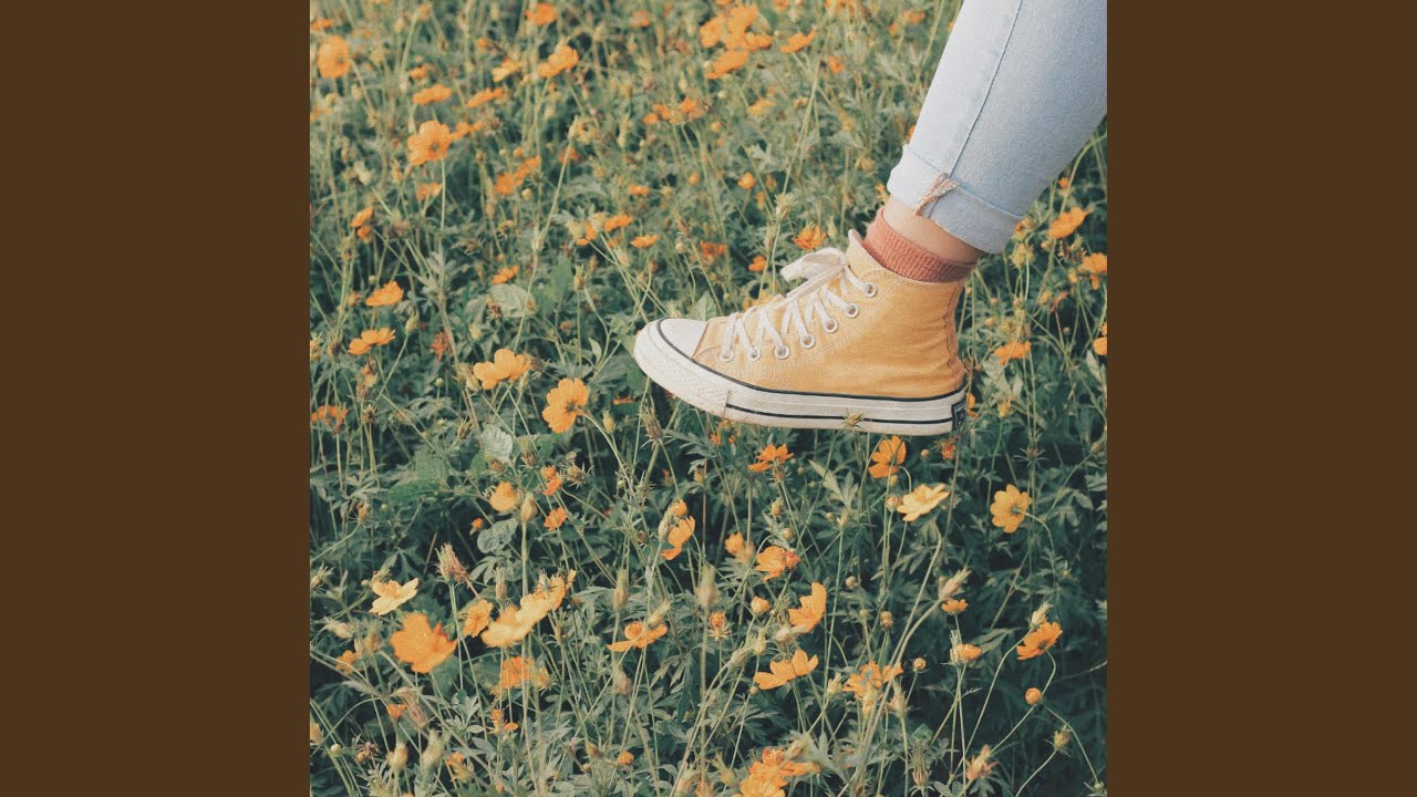 planting daisies
