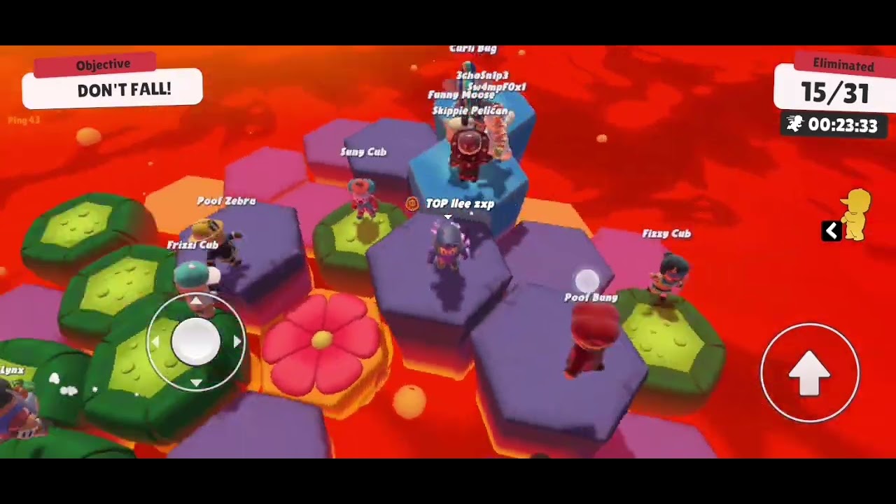 Playing stumble guys with my cousin rym