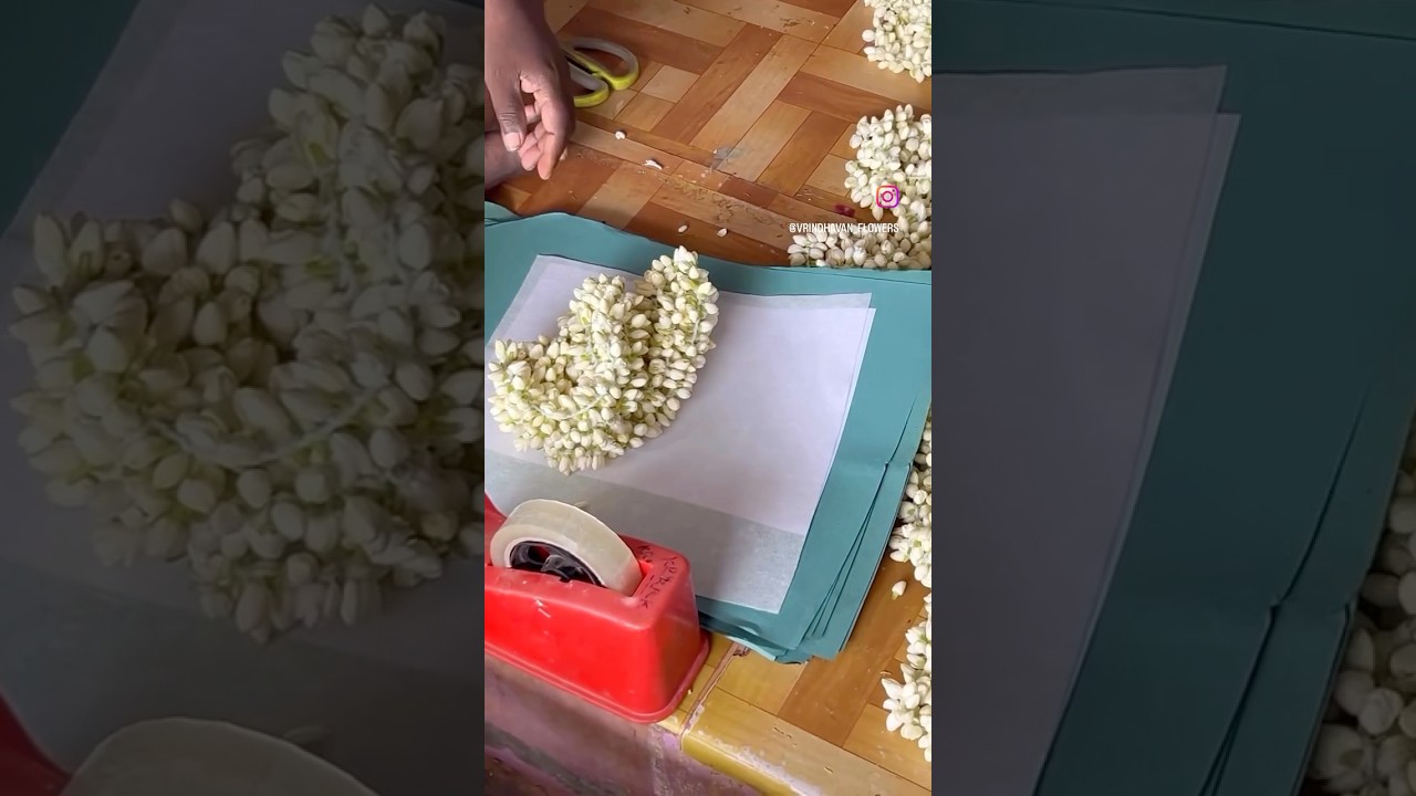 Jasmine flowers | 7708015170 | Vrindhavan Flowers | Madurai #flowers #garland #wedding #madurai