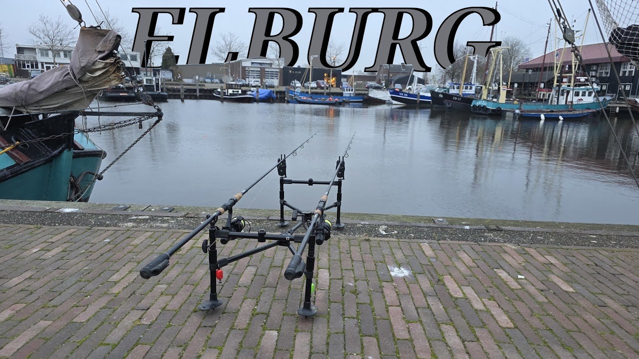 Allround angeln in Elburg #angel #fishing #deadbait #hecht #zander #Barsch #Günni 