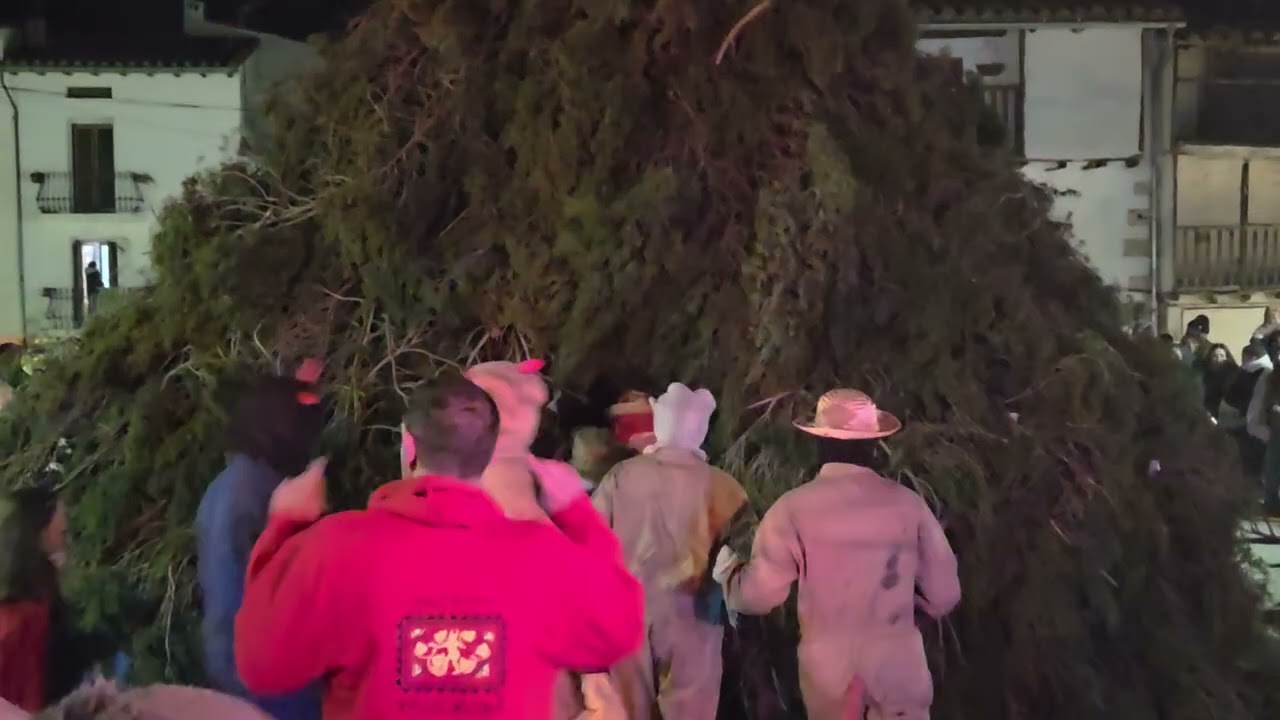 Vallibona, Sant Antoni, foc a la barraca, 1, Vinaròs News, 31 1 26