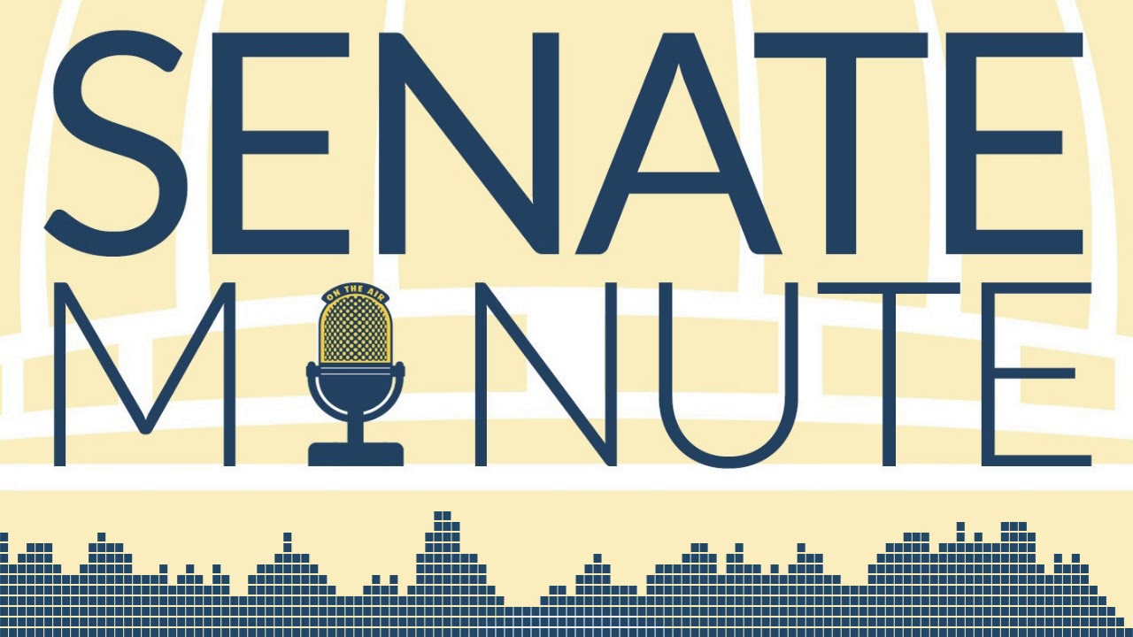 Senate Minute 2019 - Episode 8 - Sine Die