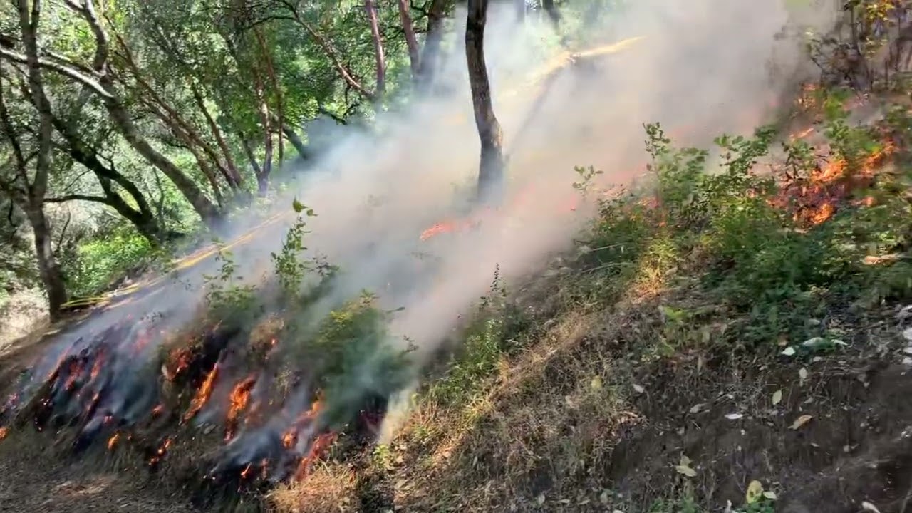 Prescribed fire at Foothill Regional Park