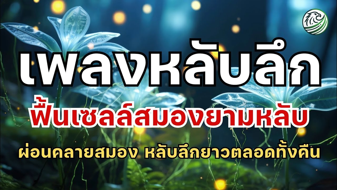 เพลงหลับลึก เพลงฟื้นเซลล์สมองยามหลับ ช่วยบำบัดยามหลับ เพลงกล่อมนอนผู้ใหญ่ เพลงผ่อนคลายสมอง 