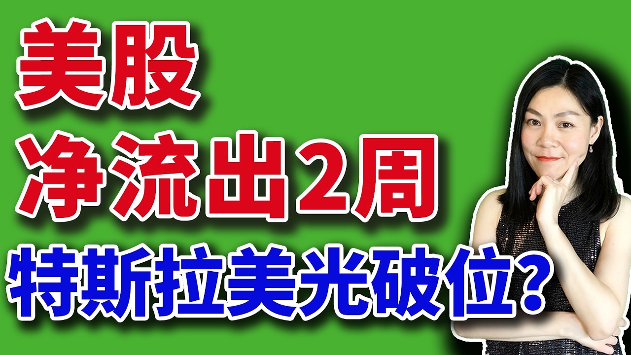 美股：资金净流出２周。特斯拉美光破位？【2026-03-20】