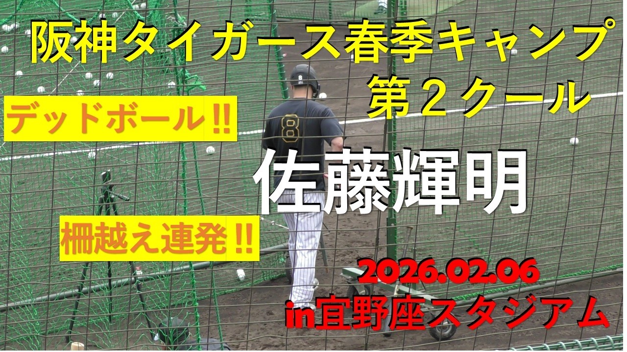 佐藤輝明デッドボール‼柵越え連発‼阪神タイガース春季キャンプ‼in宜野座スタジアム.2026.02.06