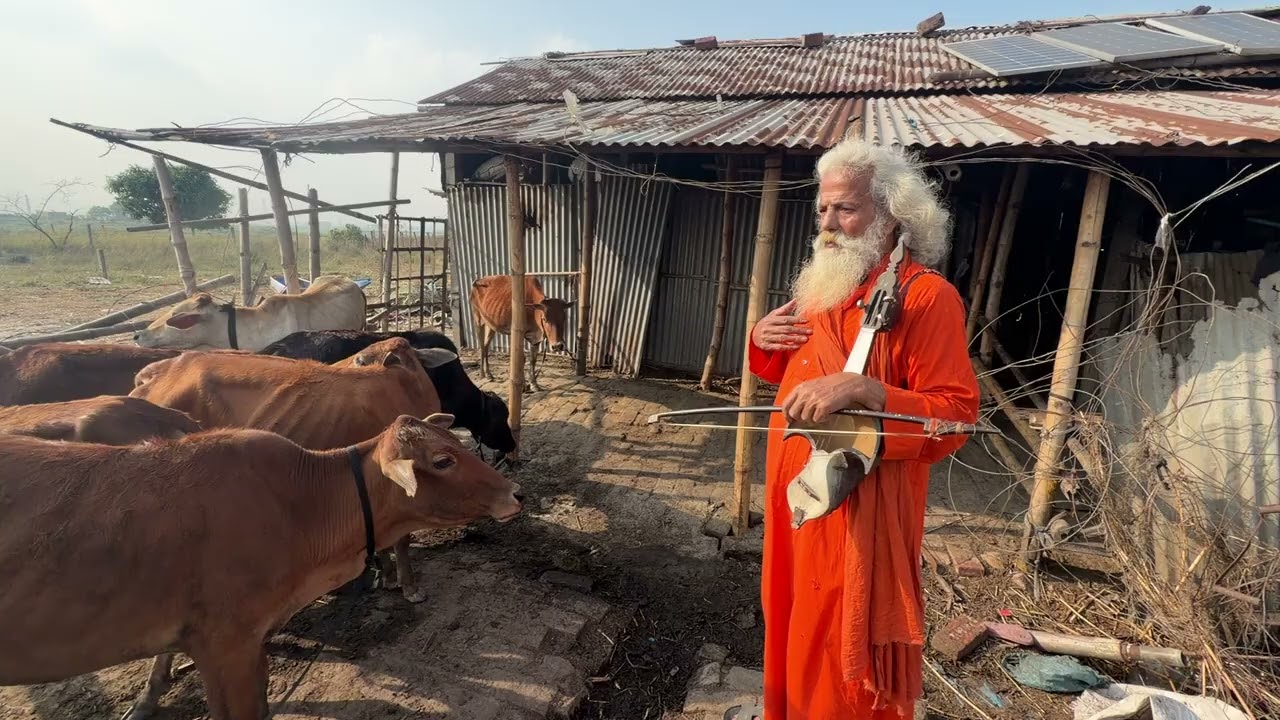 ছোট বড় এই 10 টা গরু বিক্রি হবে 4 লক্ষ 20 হাজার টাকা যোগাযোগ করুন 01718 130 315 হোয়াটসঅ্যাপ ইমু 