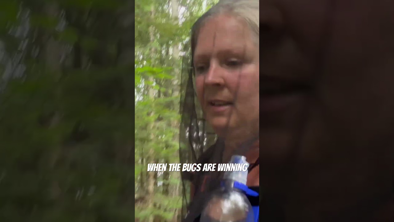 One of my biggest hiking nuisances - bugs - specifically gnats!  Bug net for the win in Maine!