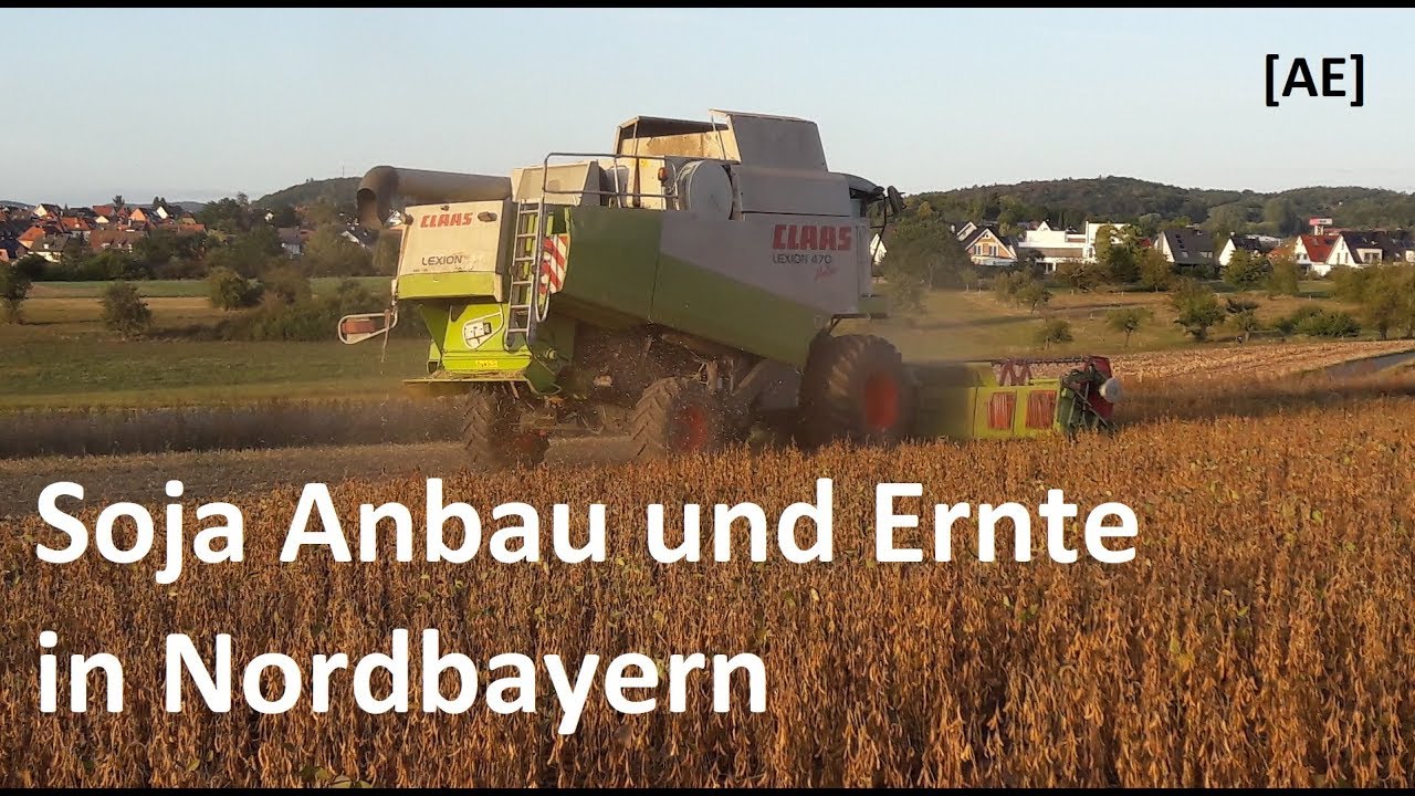 Kasparhof | Soja Anbau und Ernte in Nordbayern | Alex E