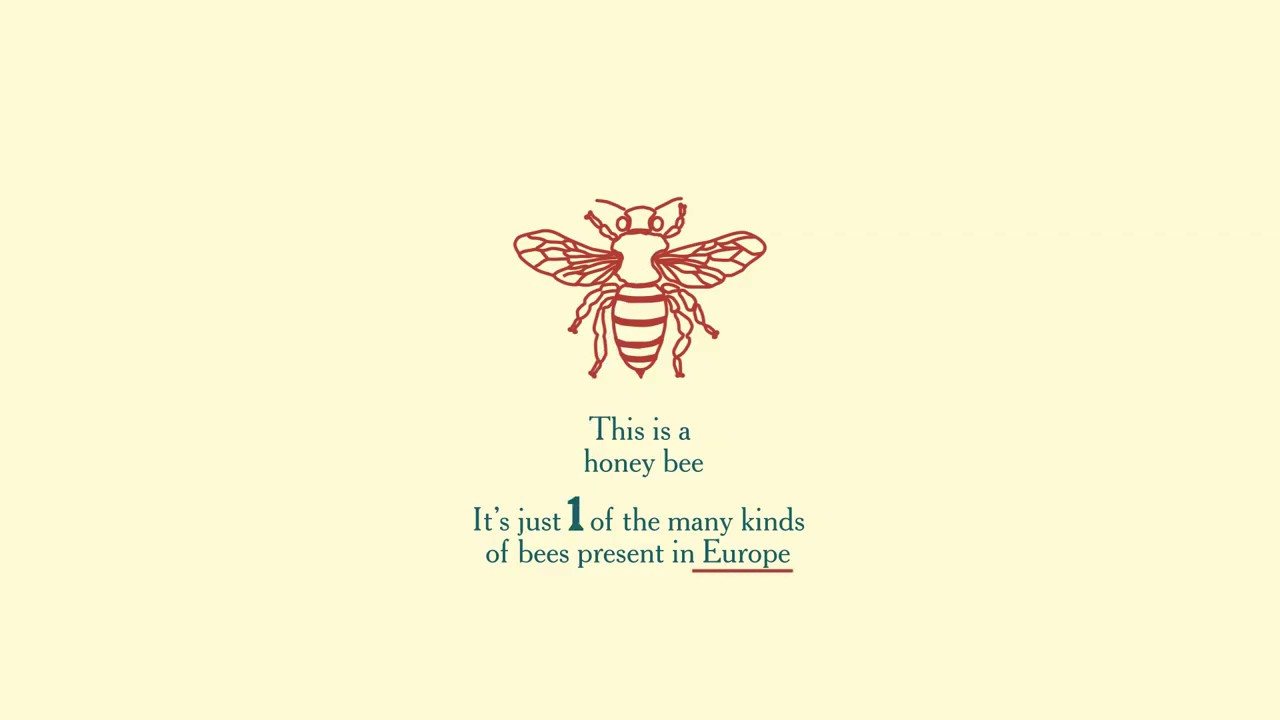 Bees in Europe &ndash; and why pesticides are endangering them