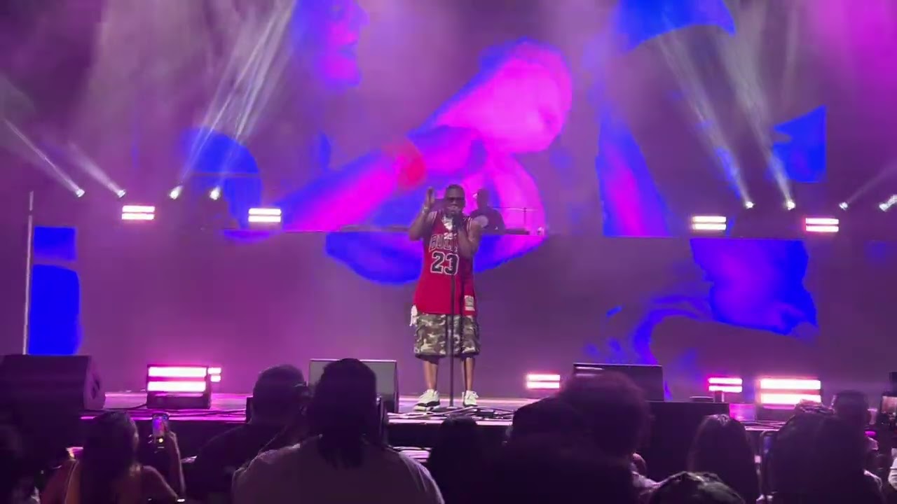 Nelly - Dilemma | Where The Party At Tour - Chicago Aug 13, 2025