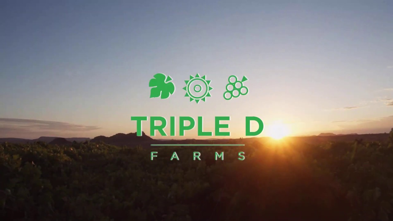 Triple D Farms Kakamas Operational Video (short version)