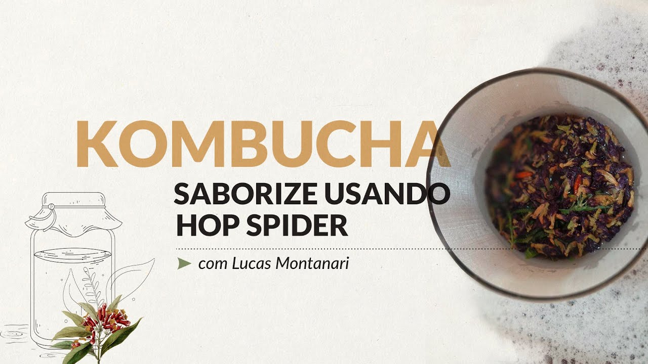 Saborize sua Kombucha com um Hop Spider!