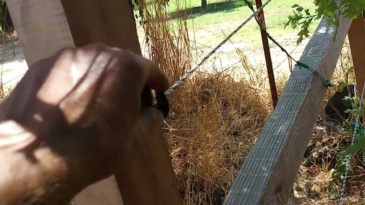 How I Fenced Pasture for Horses - Insulator Type, Poly Rope, Horse Fence Wire Height Etc