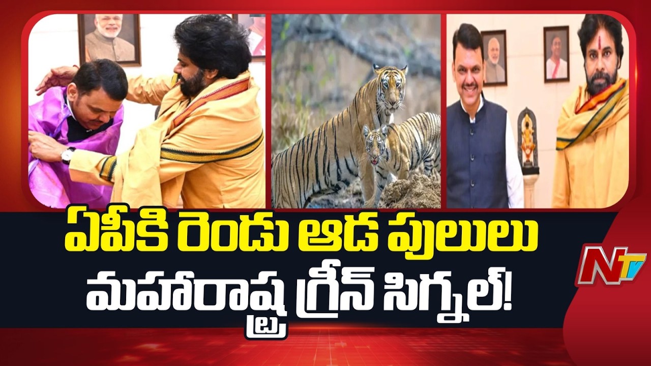 AP Deputy CM Pawan Kalyan meets Maharashtra Chief Minister Devendra Fadnavis | NTV Telugu