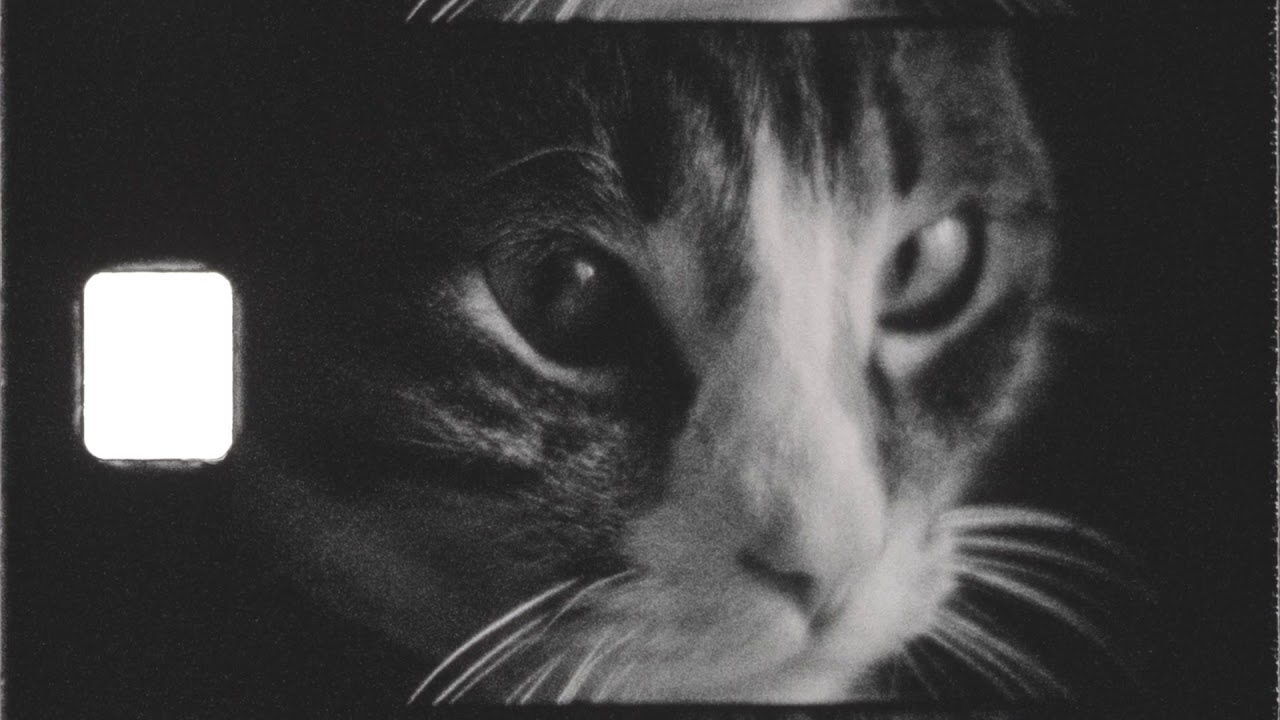 Nizo S560 Super 8 [Kodak Tri X Reversal]