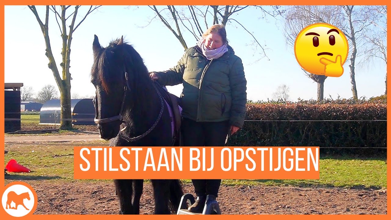 Leer jouw paard stilstaan tijdens het opstijgen