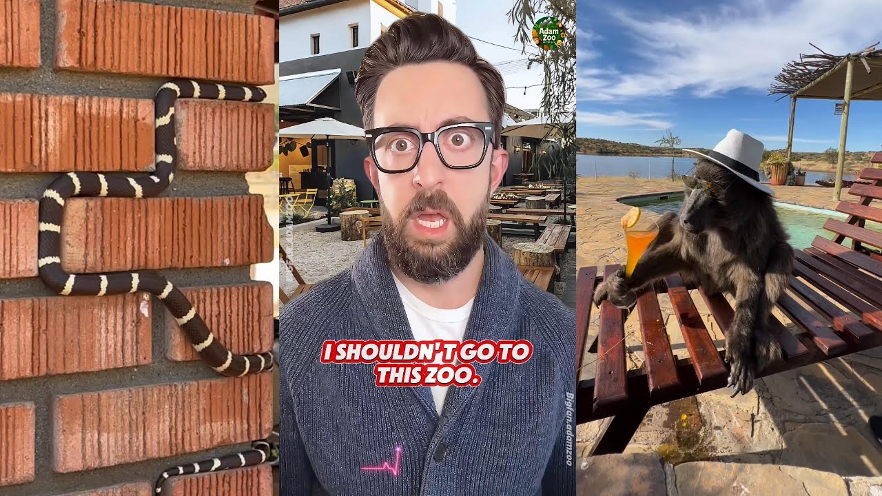 Animals Funny | Best of Adam Rose React Compilation